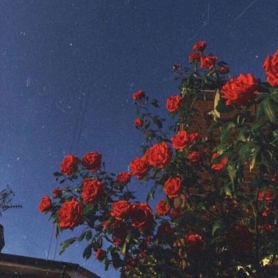 澳门mgm娱乐官网